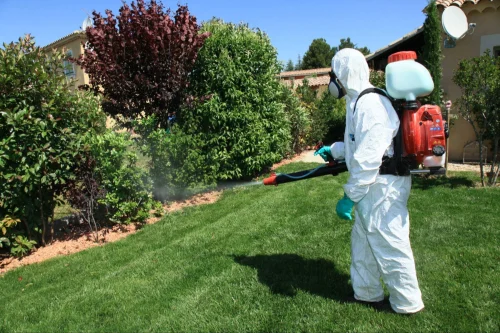 Eagle Pass Mosquito Control