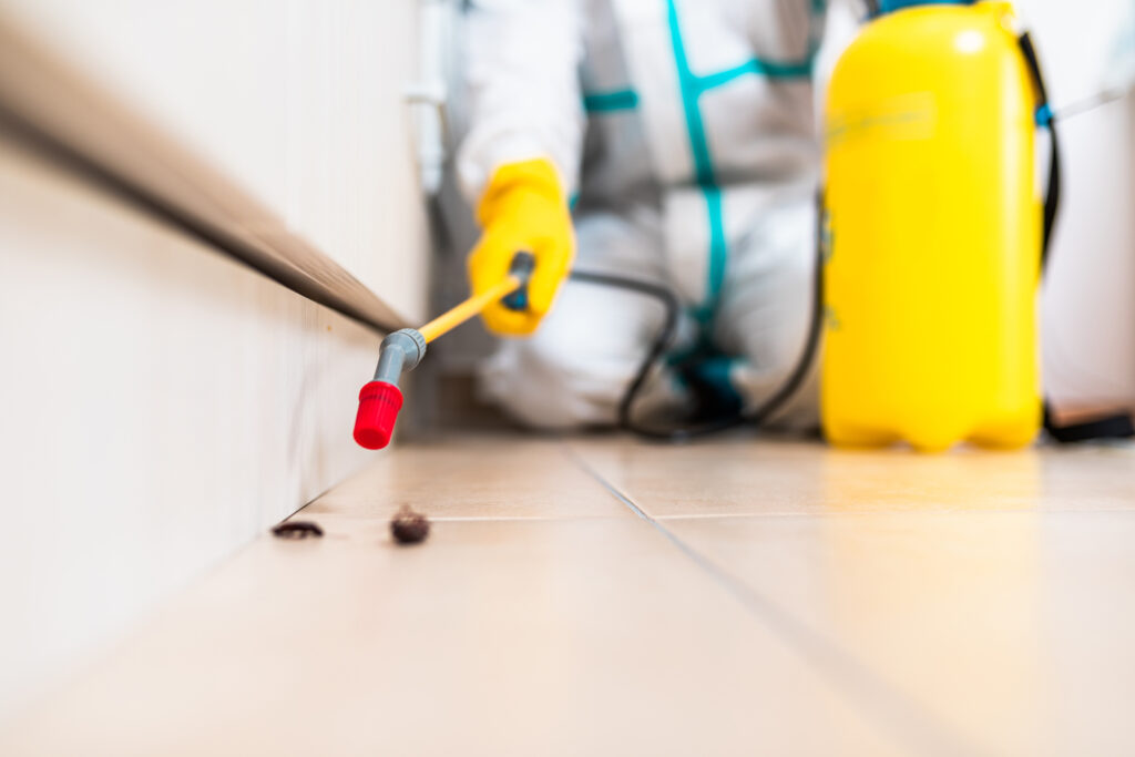 Eagle Pass Cockroach Experts