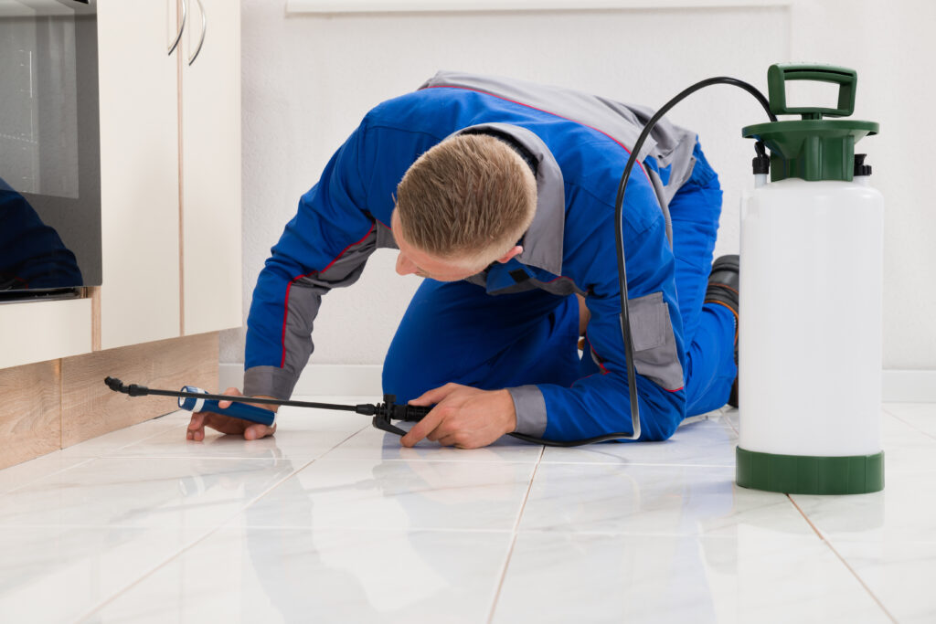 Eagle Pass Ant Control Xperts