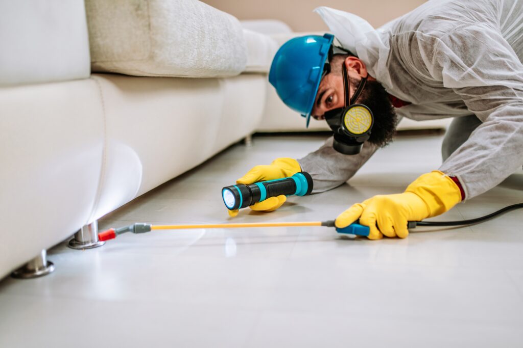 Eagle Pass Termite Control