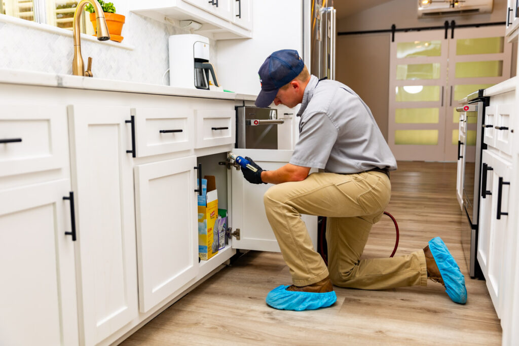 Eagle Pass xpert pest management